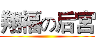 翔福の后宮 ()