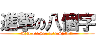 進撃の八個字 (what are you looking for?)