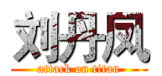 刘丹凤 (attack on titan)