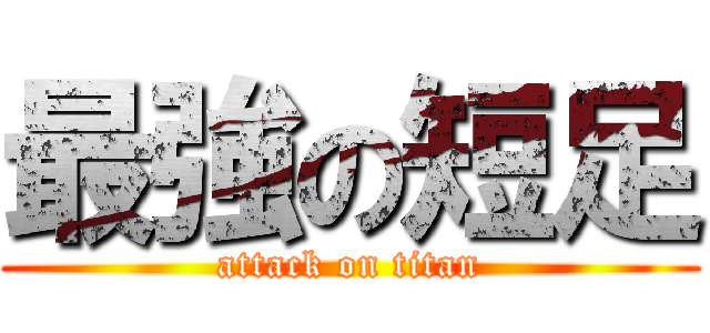 最強の短足 (attack on titan)
