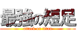 最強の短足 (attack on titan)