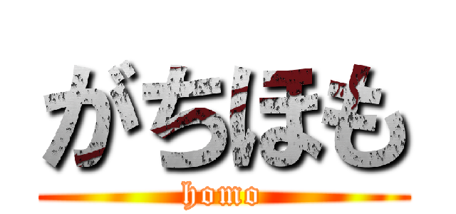 がちほも (homo)