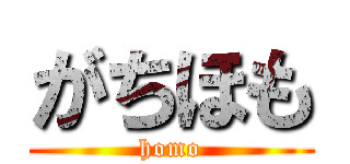 がちほも (homo)