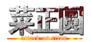菜正圆 (attack on titan)