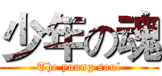 少年の魂 (The young soul)