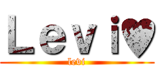 Ｌｅｖｉ♥ (levi)