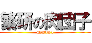 繁研の肉団子 (meatball)