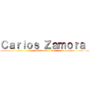 Ｃａｒｌｏｓ Ｚａｍｏｒａ  (ICP Donna / 6B)