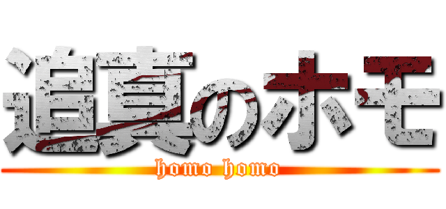 追真のホモ (homo homo)