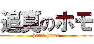 追真のホモ (homo homo)