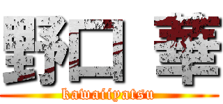 野口 華 (kawaiiyatsu)