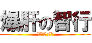 爆肝の智行 (WTF？)