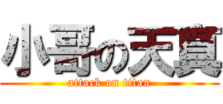 小哥の天真 (attack on titan)