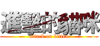 進擊的貓咪 (attack on kitten)