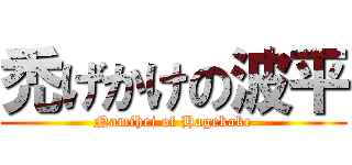 禿げかけの波平 (Namihei of Hagekake)