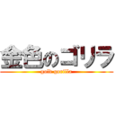 金色のゴリラ (gold gorilla)