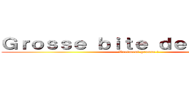 Ｇｒｏｓｓｅ ｂｉｔｅ ｄｅ ｃｈｅｖａｌ (Vraiment grosse !)