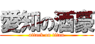 愛知の酒豪 (attack on titan)