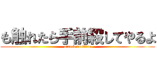 も触れたら手前殺してやるよ (attack on titan)
