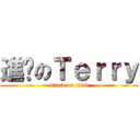 進擊のＴｅｒｒｙ (attack on titan)
