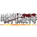哈利波特 (Harry Potter)