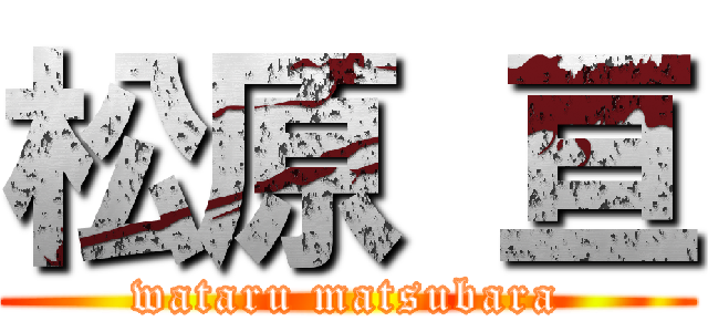 松原 亘 (wataru matsubara)