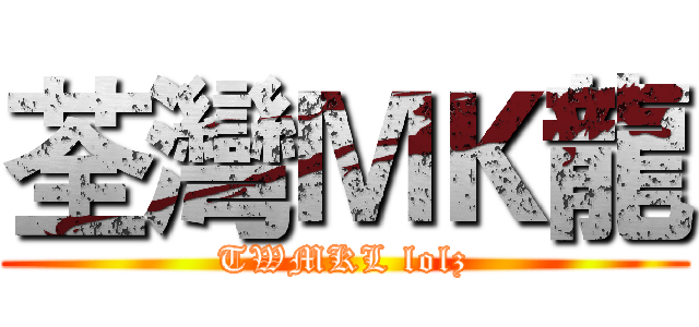 荃灣ＭＫ龍 (TWMKL lolz)