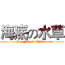 海底の水草 (Sea_Weed Ojisan)