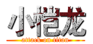 小恺龙 (attack on titan)
