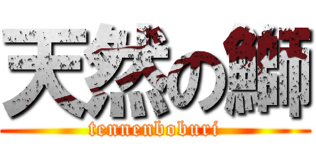 天然の鰤 (tennenboburi)