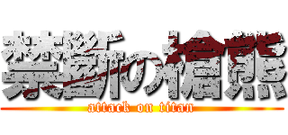 禁斷の槍熊 (attack on titan)