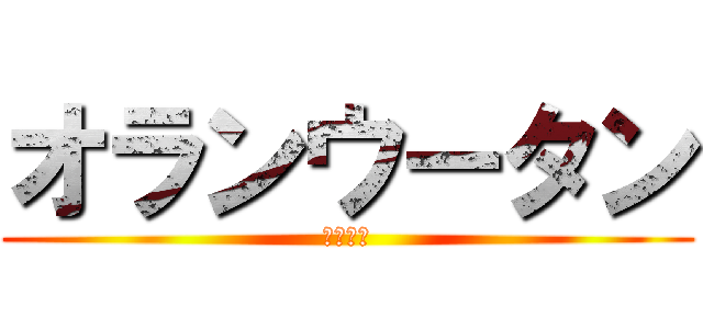 オランウータン (イケメン)