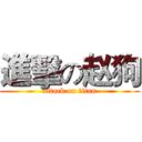進擊の赵狗 (attack on titan)