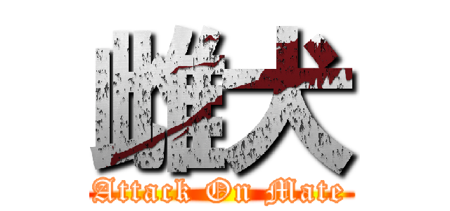 雌犬 (Attack On Mate)