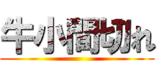 牛小間切れ ()