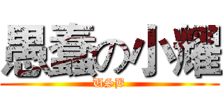 愚蠢の小耀 (USB)