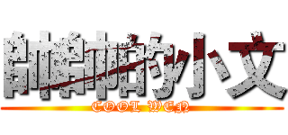 帥帥的小文 (COOL WEN)
