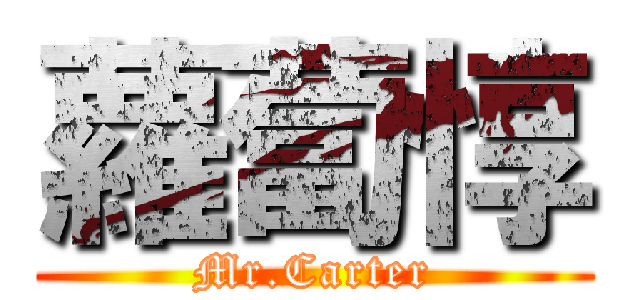 蘿蔔惇 (Mr.Carter)