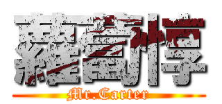 蘿蔔惇 (Mr.Carter)
