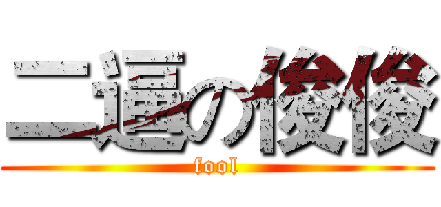 二逼の俊俊 (fool)