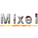 Ｍｉｘｅｌ (Mixel )