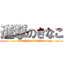 進撃のきなこ (attack on kinakdo)