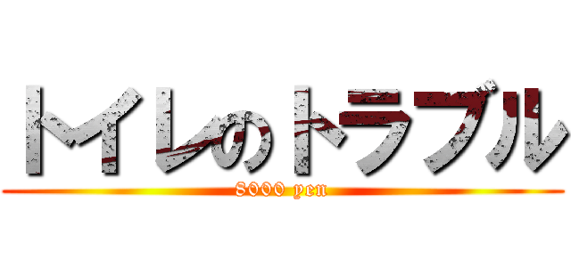 トイレのトラブル (8000 yen)