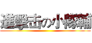 進擊击の小隊輔 ()