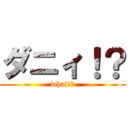 ダニィ！？ (what!?)