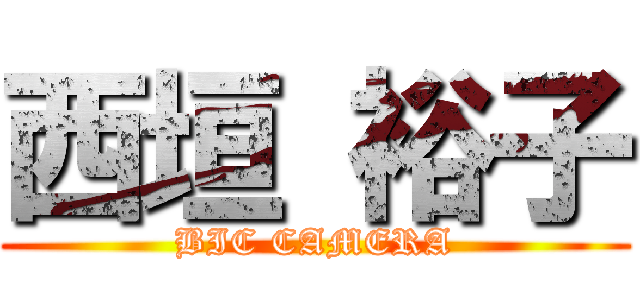 西垣 裕子 (BIC CAMERA)