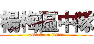 楊梅區中隊 (attack on titan)