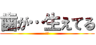 歯が…生えてる (!?)