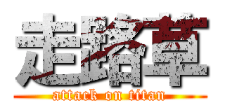 走路草 (attack on titan)