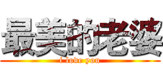 最美的老婆 (i love you)